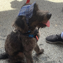 Load image into Gallery viewer, SunHats