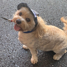 Load image into Gallery viewer, SunHats