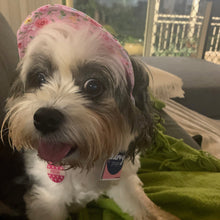 Load image into Gallery viewer, SunHats