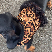Load image into Gallery viewer, Leopard Vest Harness - Girls Or Boys