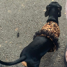 Load image into Gallery viewer, Leopard Vest Harness - Girls Or Boys