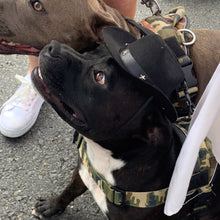 Load image into Gallery viewer, Cowboy Hat