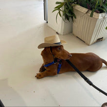 Load image into Gallery viewer, Cowboy Hat