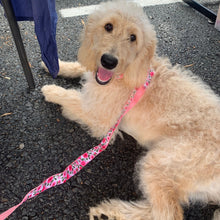 Load image into Gallery viewer, Pink Rose Lead