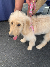 Load image into Gallery viewer, Pink Roses Step-in Harness