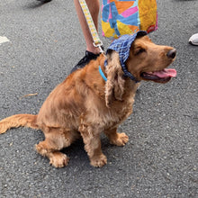 Load image into Gallery viewer, SunHats