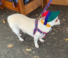 Load image into Gallery viewer, SunHats