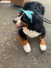 Load image into Gallery viewer, SunHats