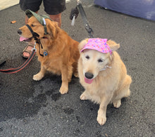 Load image into Gallery viewer, SunHats