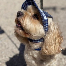 Load image into Gallery viewer, SunHats