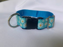 Load image into Gallery viewer, Blue Daisy - Dog Collar