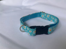 Load image into Gallery viewer, Blue Daisy - Dog Collar