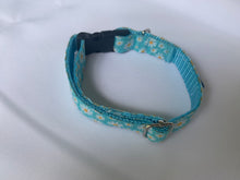 Load image into Gallery viewer, Blue Daisy - Dog Collar