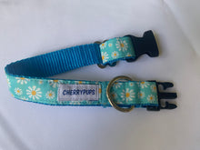 Load image into Gallery viewer, Blue Daisy - Dog Collar