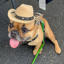 Load image into Gallery viewer, Cowboy Hat