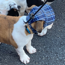 Load image into Gallery viewer, SunHats