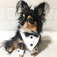 Load image into Gallery viewer, Tuxedo & Cuffs