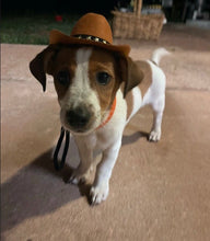 Load image into Gallery viewer, Cowboy Hat Extra Small Style
