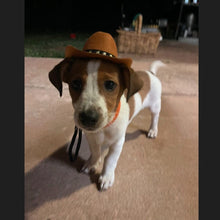 Load image into Gallery viewer, Cowboy Hat
