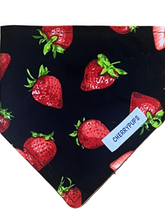 Load image into Gallery viewer, Clip on Bandanas
