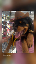 Load image into Gallery viewer, Cowboy Hat

