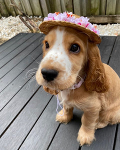 Cane Hat With Flowers