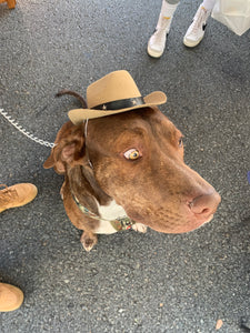 Cowboy Hat