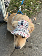 Load image into Gallery viewer, SunHats
