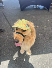 Load image into Gallery viewer, SunHats
