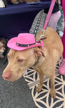 Load image into Gallery viewer, Cowboy Hat
