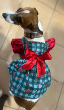 Load image into Gallery viewer, Candy Bones and Bows
