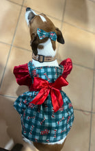 Load image into Gallery viewer, Candy Bones and Bows
