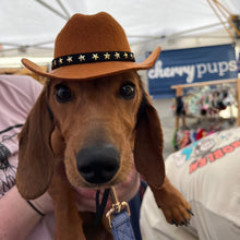 Load image into Gallery viewer, Cowboy Hat
