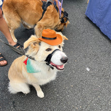 Load image into Gallery viewer, Cowboy Hat
