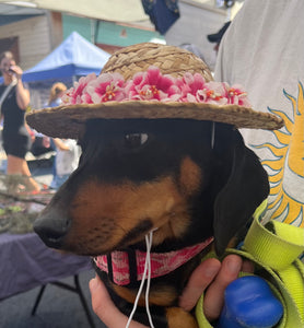 Cane Hat With Flowers