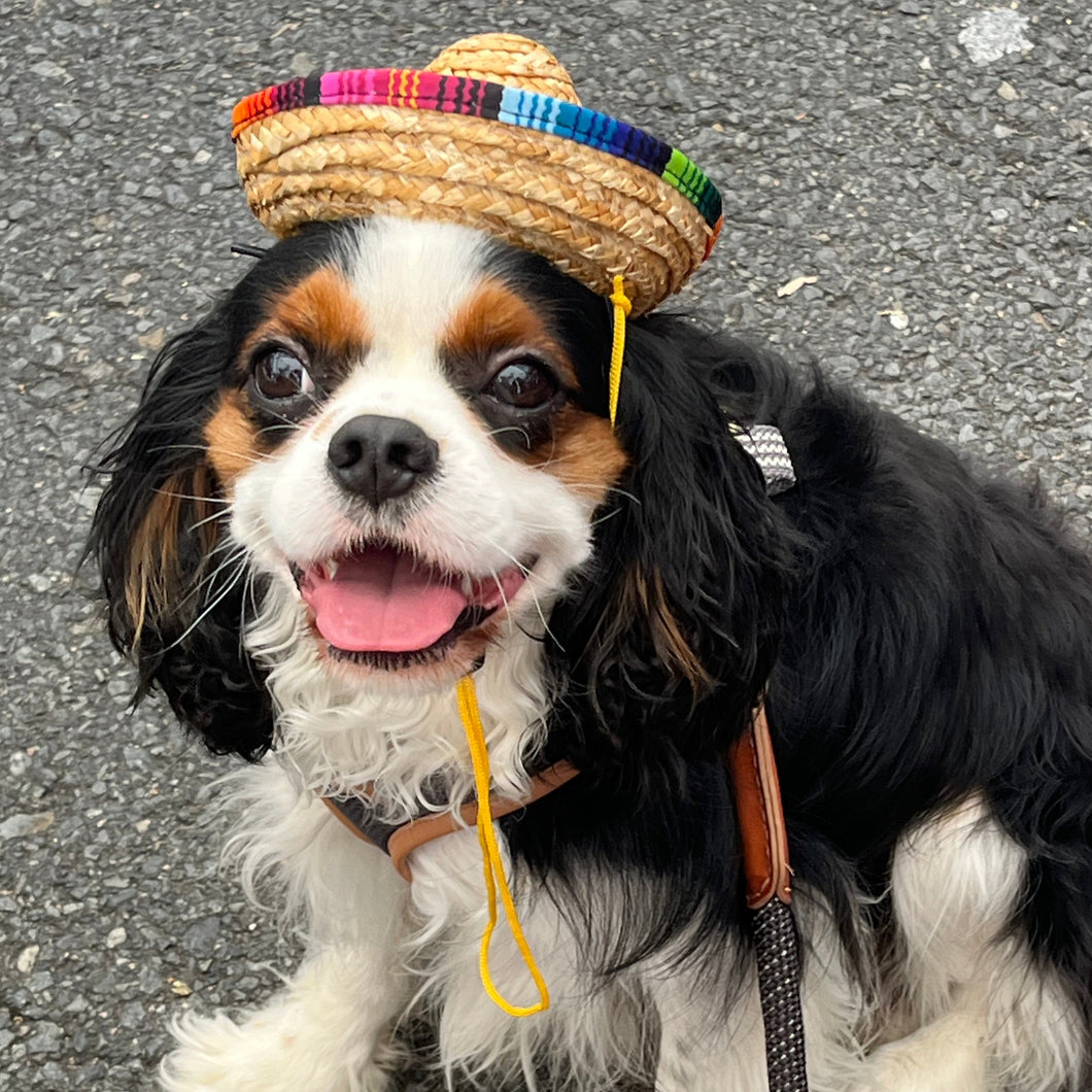 Sombrero