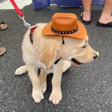 Load image into Gallery viewer, Cowboy Hat
