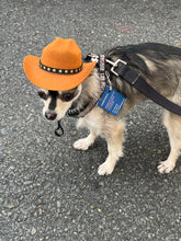 Load image into Gallery viewer, Cowboy Hat
