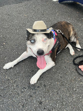 Load image into Gallery viewer, Cowboy Hat
