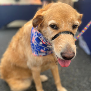 Australian Printed Clip On Bandanas