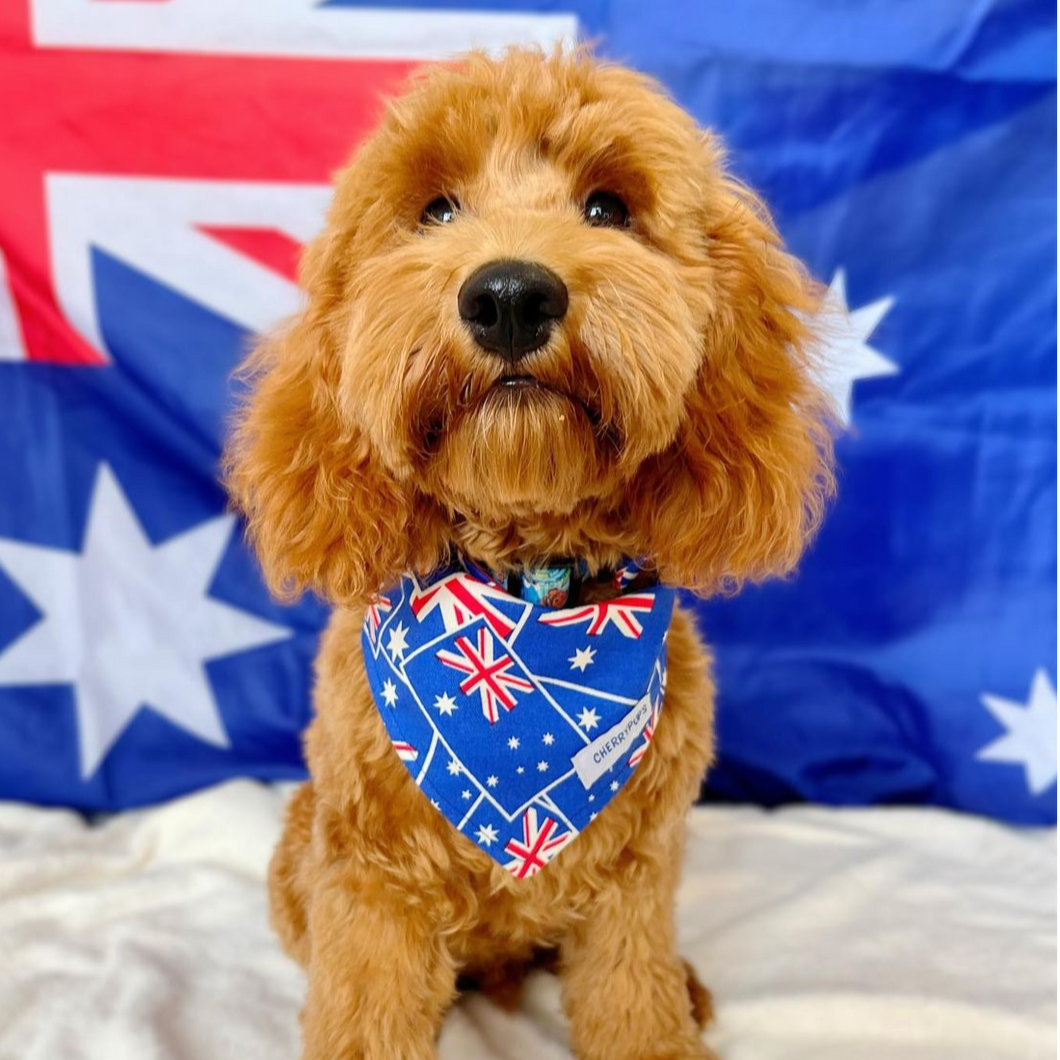 Australian Printed Clip On Bandanas