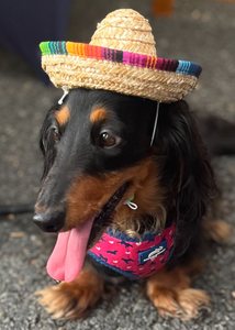 Sombrero