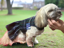 Load image into Gallery viewer, Blue Tartan Dress
