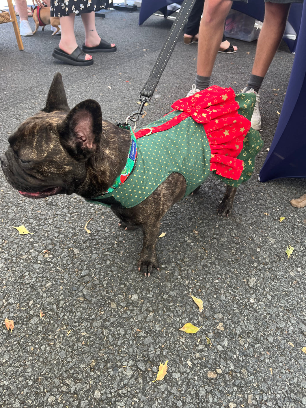 Christmas Star Dress