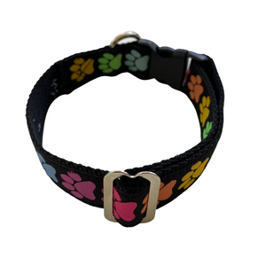 Rainbow Hearts Dog Collar