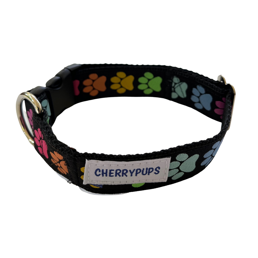 Rainbow Hearts Dog Collar