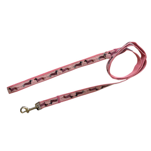 Dachshund Lead