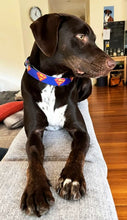 Load image into Gallery viewer, SUPERMAN - DOG COLLAR
