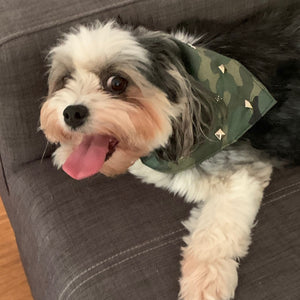 Army Studded Dog Bandana