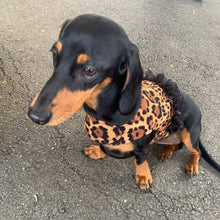 Load image into Gallery viewer, Leopard Vest Harness - Girls Or Boys
